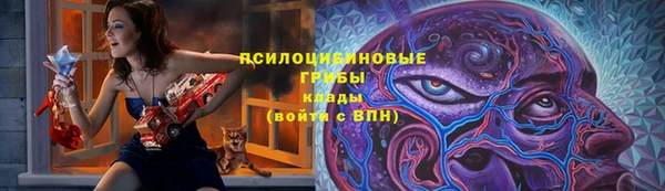 кокс Арсеньев